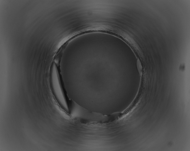 X0000091460842200708301829