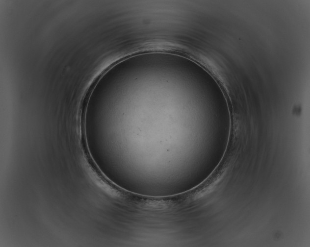 X0000091460843200708301829