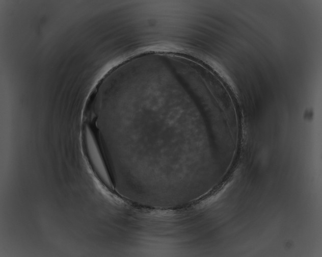 X0000091460845200708301829