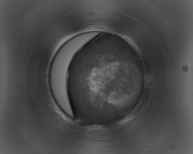 X0000091460846200708301829