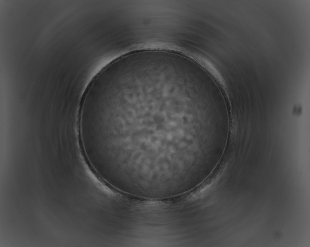 X0000091460847200708301829