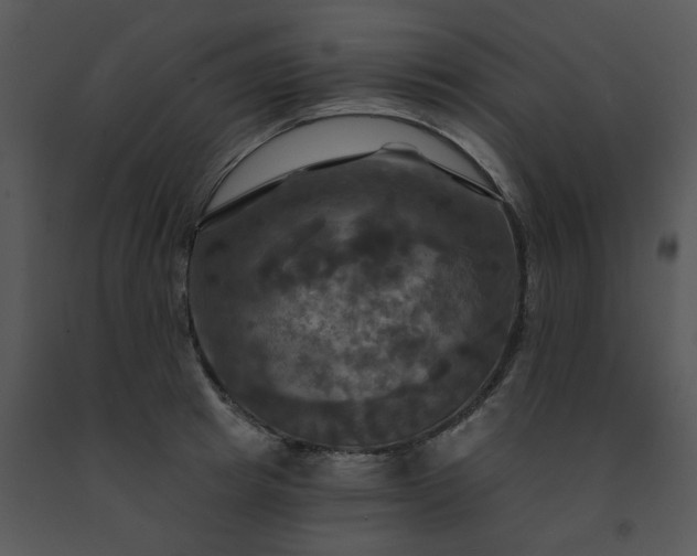 X0000091460849200708301829