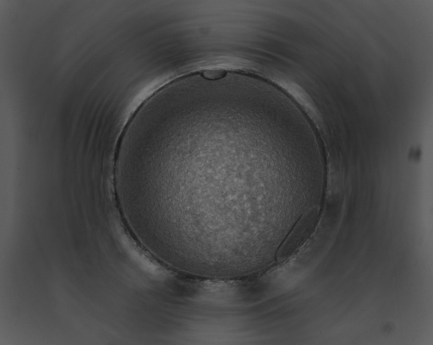 X0000091460850200708301829