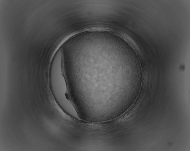 X0000091460852200708301829