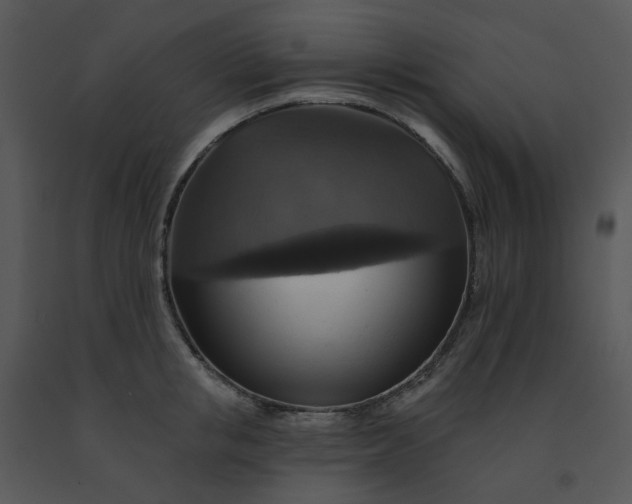 X0000091460853200708301829