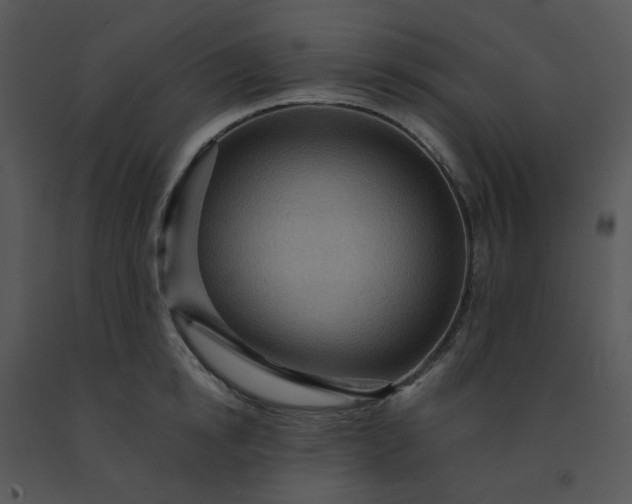 X0000091460854200708301829