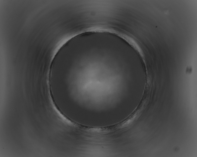 X0000091460855200708301829