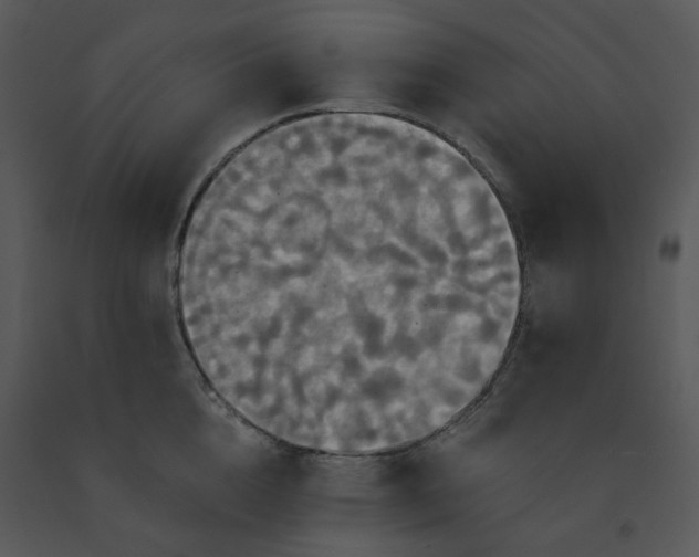 X0000091460856200708301829