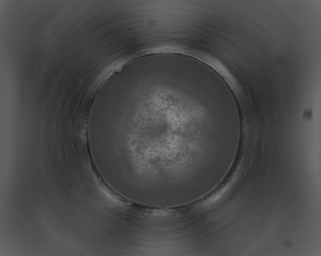 X0000091460857200708301829