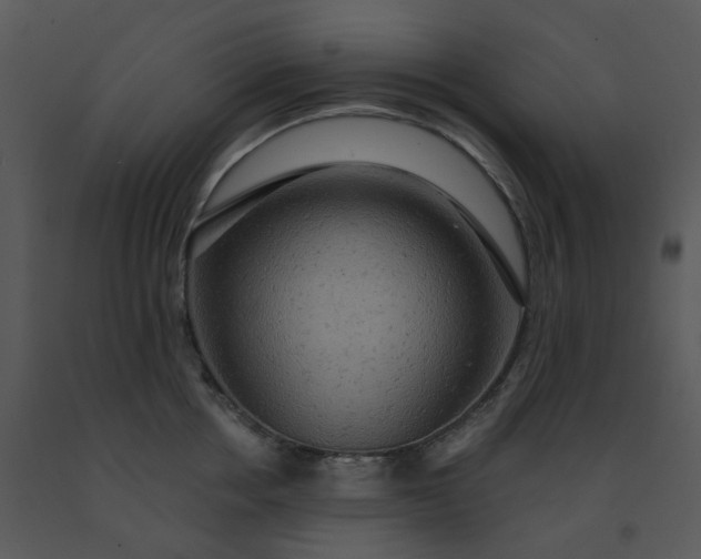 X0000091460858200708301829