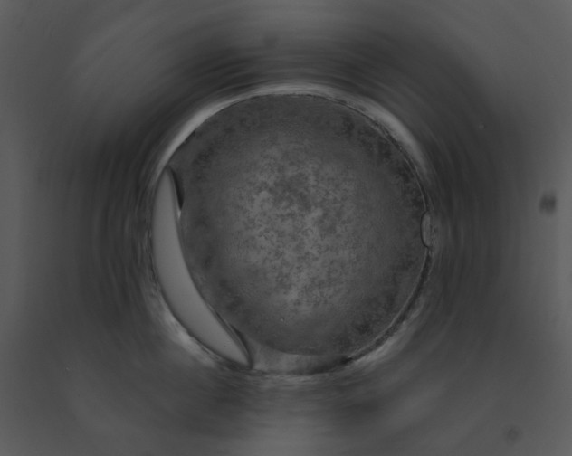 X0000091460860200708301830