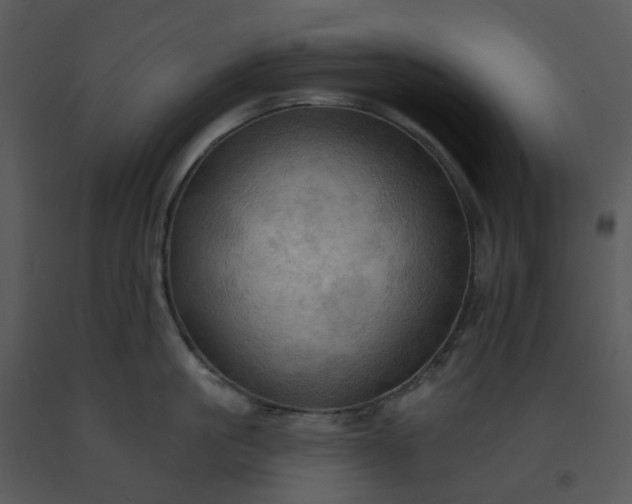 X0000091460861200708301830