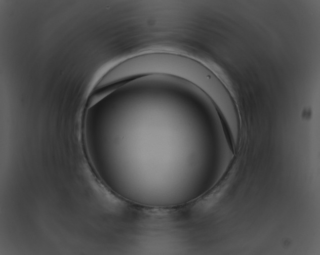 X0000091460862200708301830