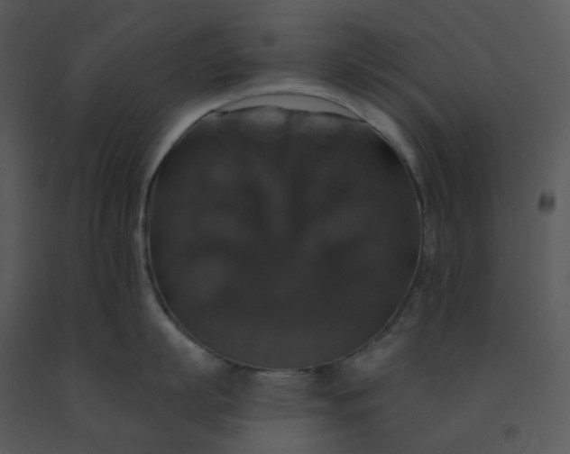 X0000091460863200708301830