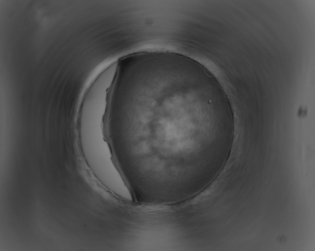 X0000091460864200708301830