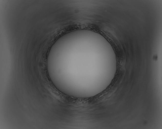 X0000091460865200708301829