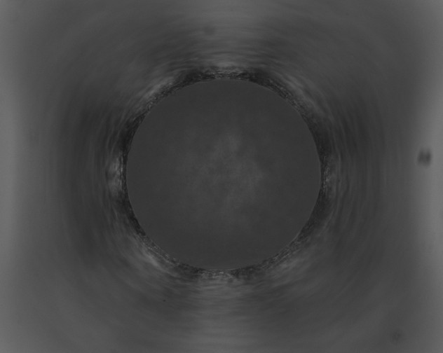 X0000091460866200708301829