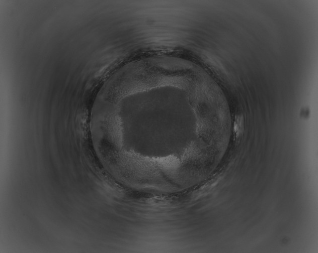 X0000091460867200708301829