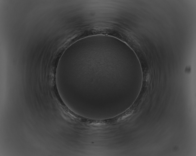 X0000091460868200708301829