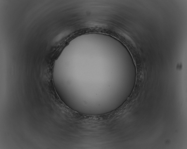 X0000091460869200708301829