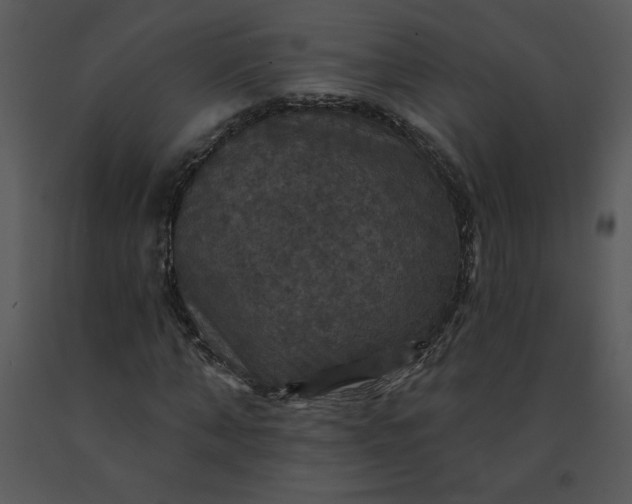 X0000091460870200708301829