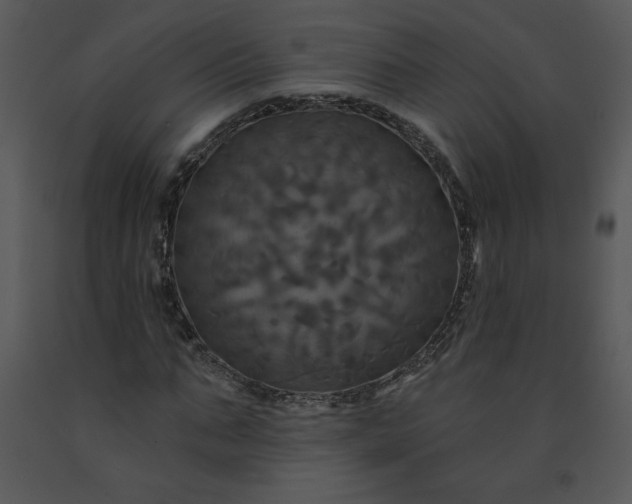 X0000091460871200708301829