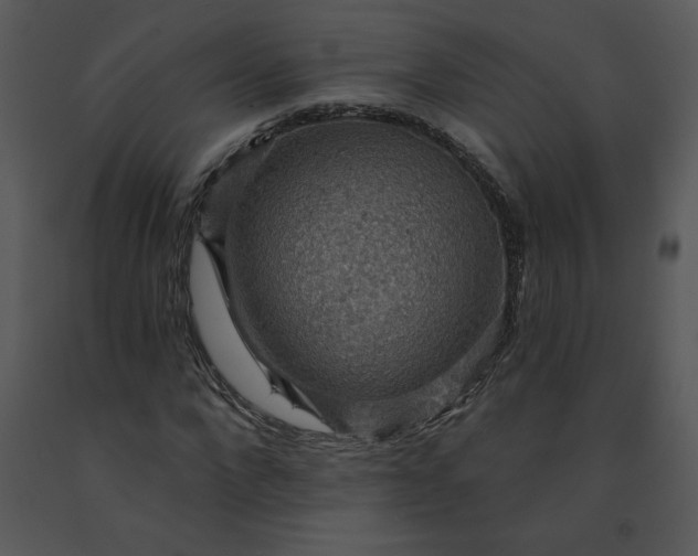 X0000091460872200708301829