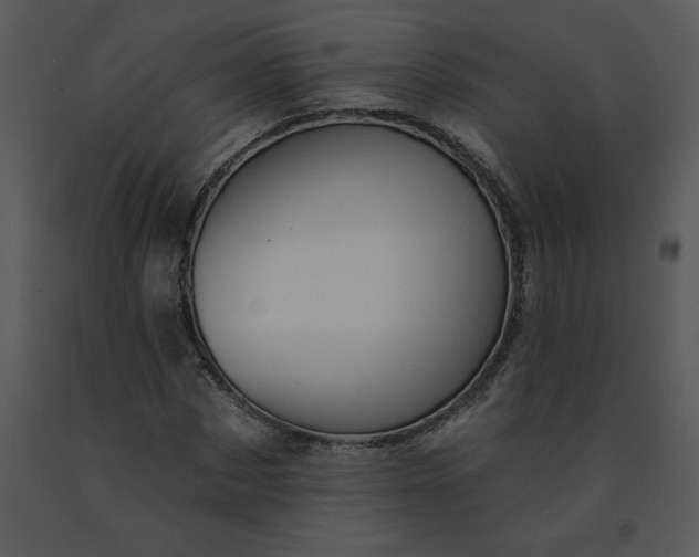 X0000091460873200708301829