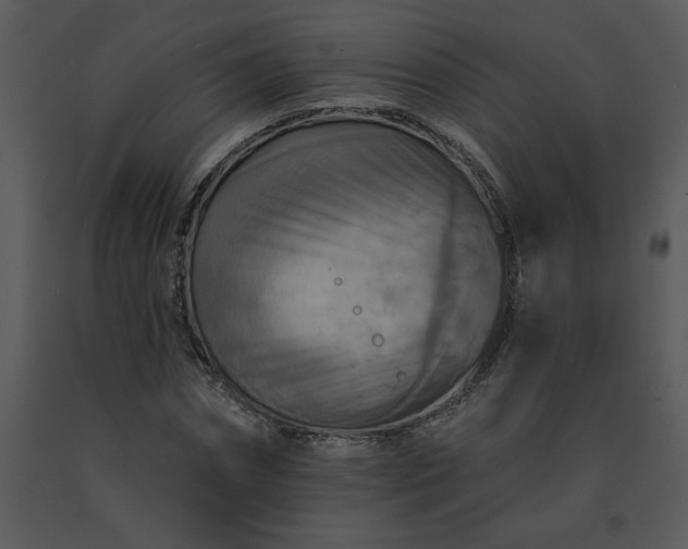 X0000091460874200708301829