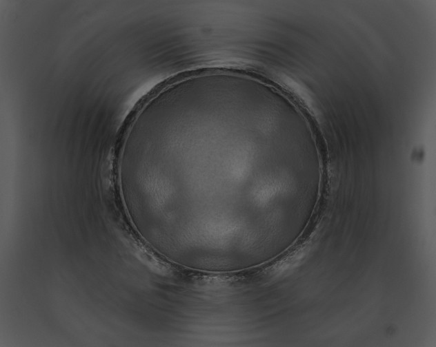 X0000091460875200708301829