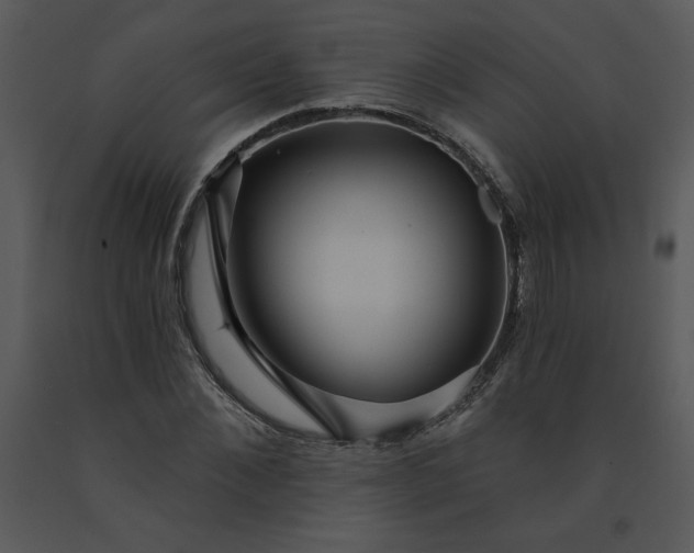 X0000091460876200708301829