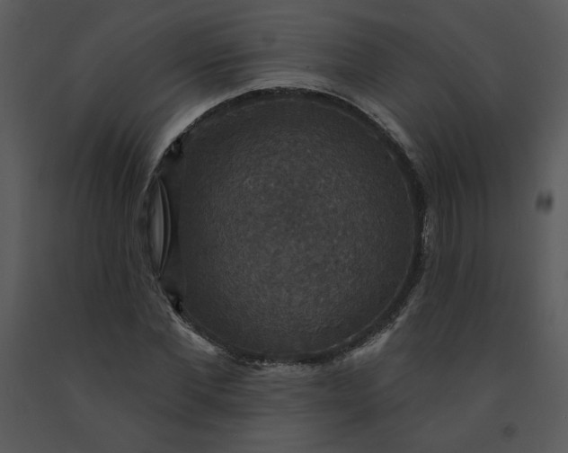 X0000091460877200708301829