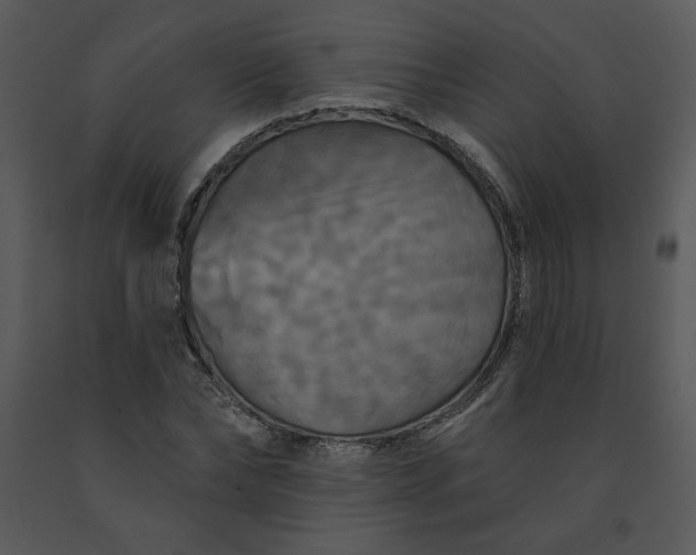 X0000091460878200708301829