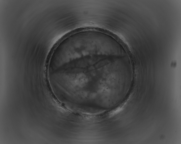 X0000091460879200708301829