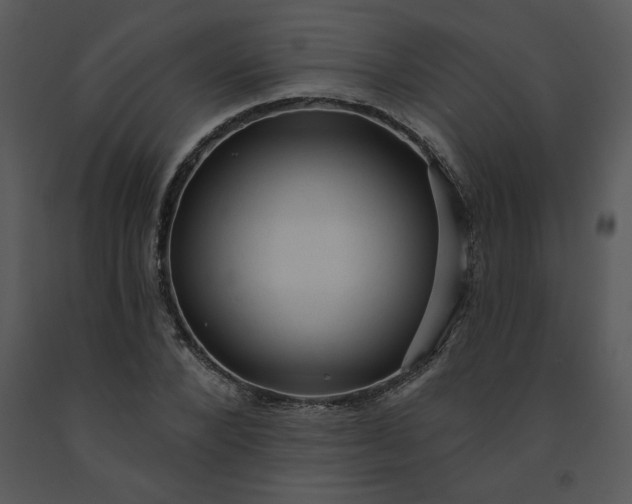 X0000091460880200708301829