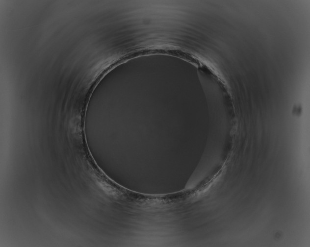 X0000091460881200708301829