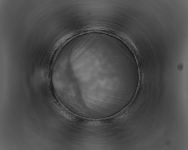 X0000091460882200708301829