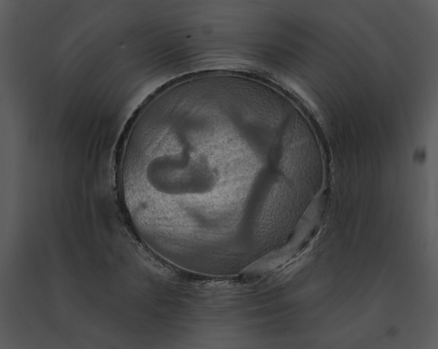 X0000091460883200708301829