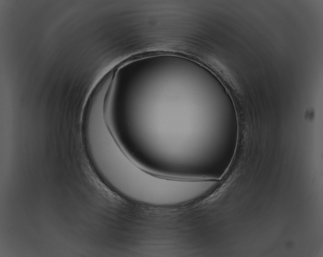 X0000091460884200708301829