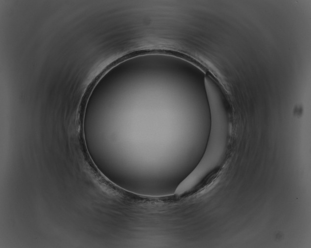 X0000091460885200708301829