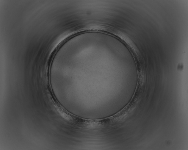 X0000091460886200708301829