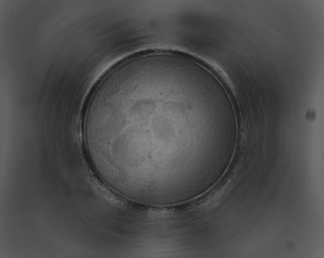 X0000091460887200708301829