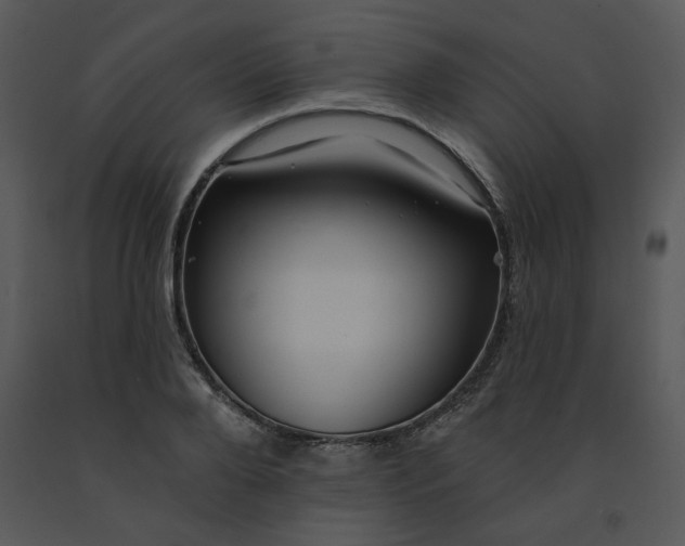 X0000091460888200708301829