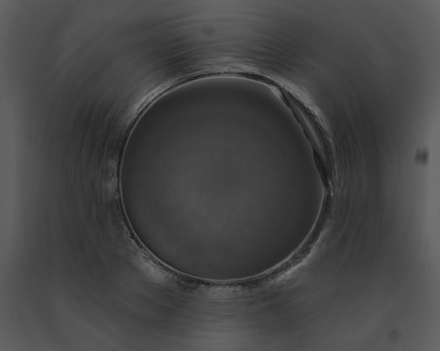 X0000091460889200708301829