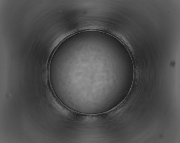 X0000091460890200708301829