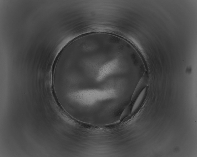 X0000091460891200708301829