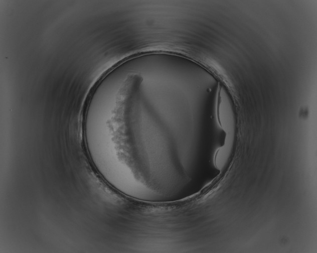 X0000091460892200708301828