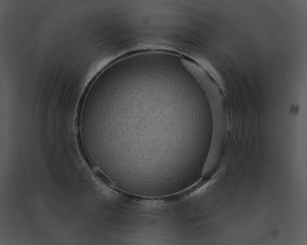 X0000091460893200708301828