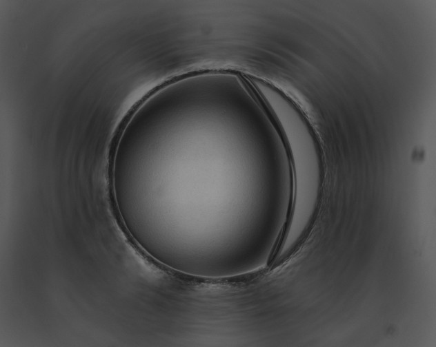 X0000091460894200708301828