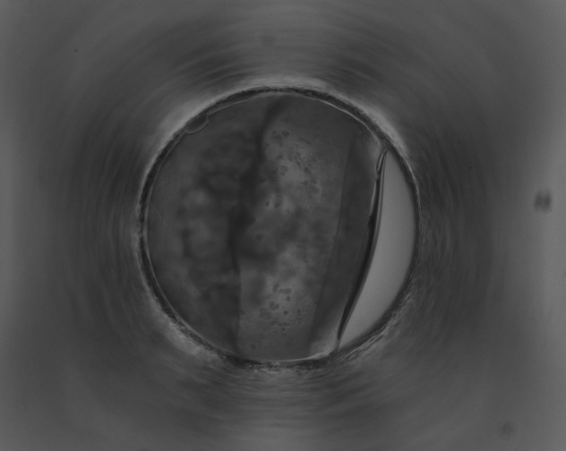 X0000091460895200708301828